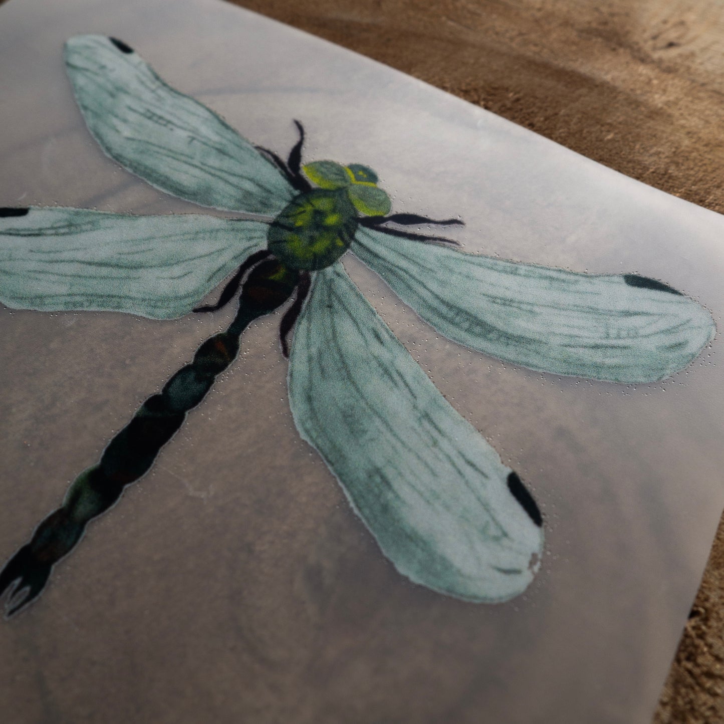 Bügelbild »Libelle«