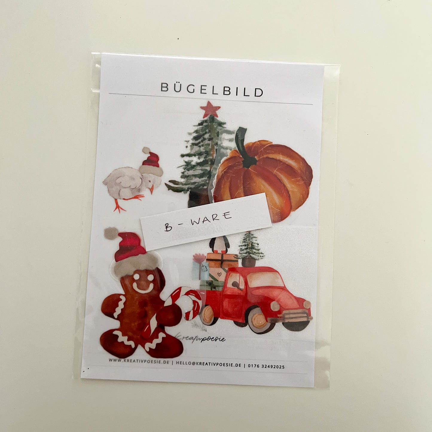 B-WARE | Bügelbild DIN 5 »Wintermischung « | Motiv zum Aufbügeln