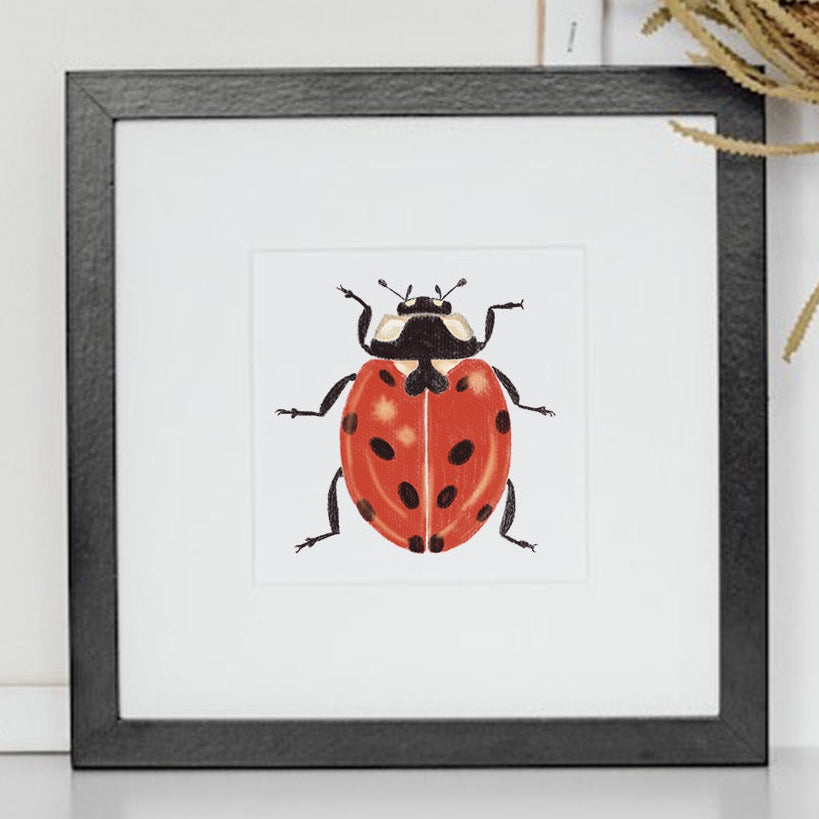 Kunstdruck | FineArt Print | Marienkäfer 10x10 cm/20x20 cm
