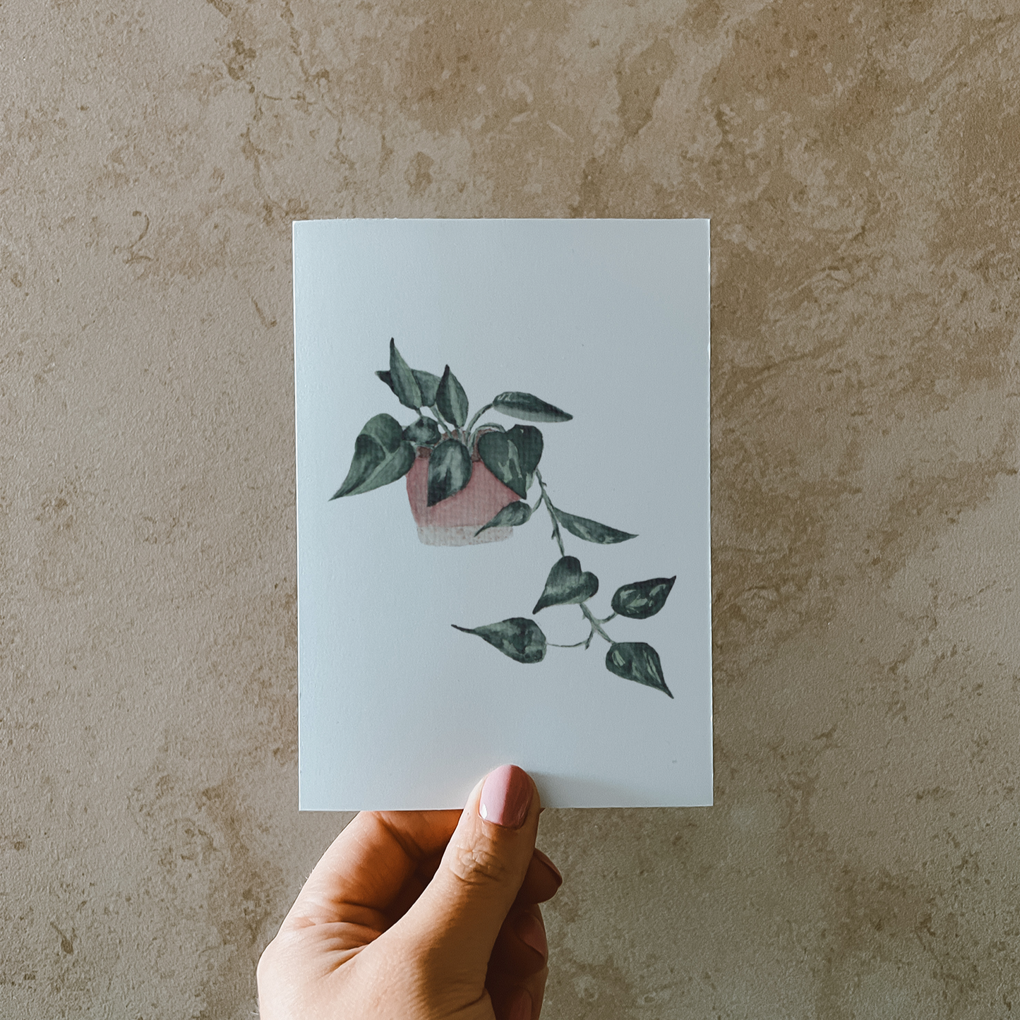 Herunterhängende Efeutute im rosa-beigen Blumentopf.