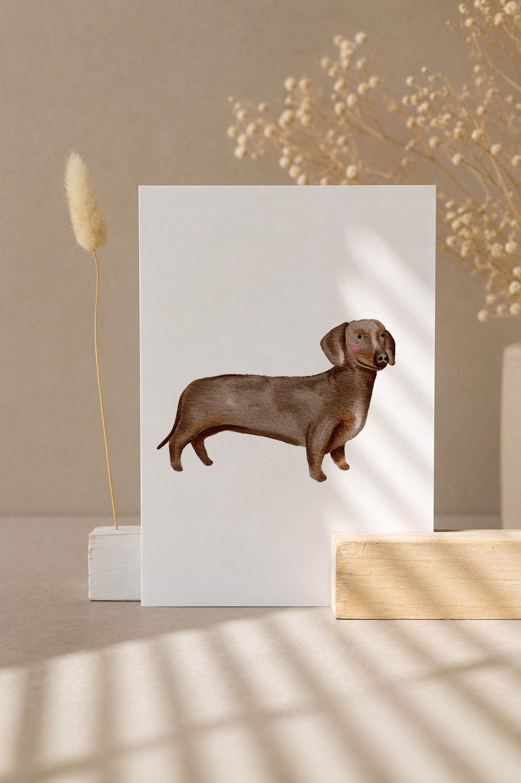 Postkarte »Dackel«