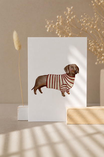 Postkarte »Dackel«