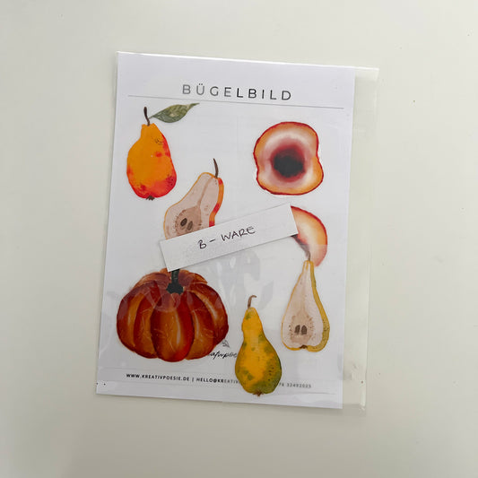 B-WARE | Bügelbild DIN 5 »Herbstmischung « | Motiv zum Aufbügeln