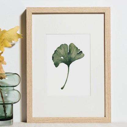 Kunstdruck | FineArt Print | Ginkgo