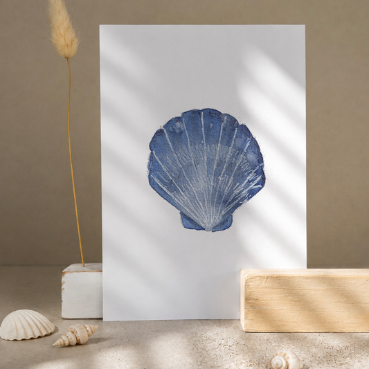 Postkarte »Muschel«