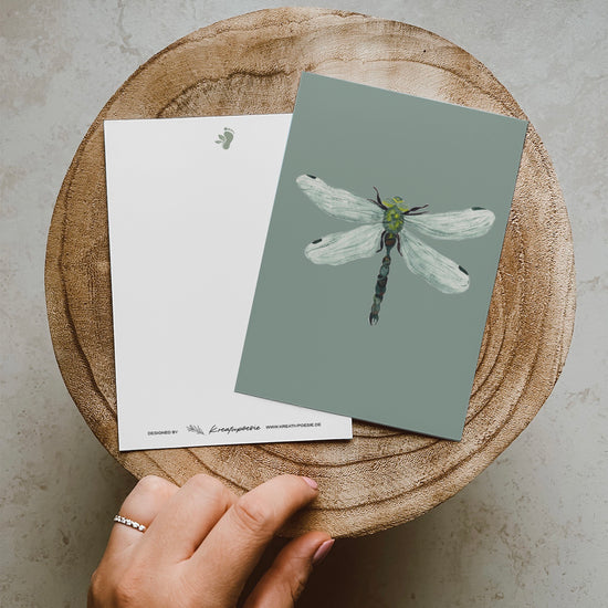 Eine grüne Libelle mit transparenten filigranen Flügeln von oben auf einem türkis-grünem Hintergrund.