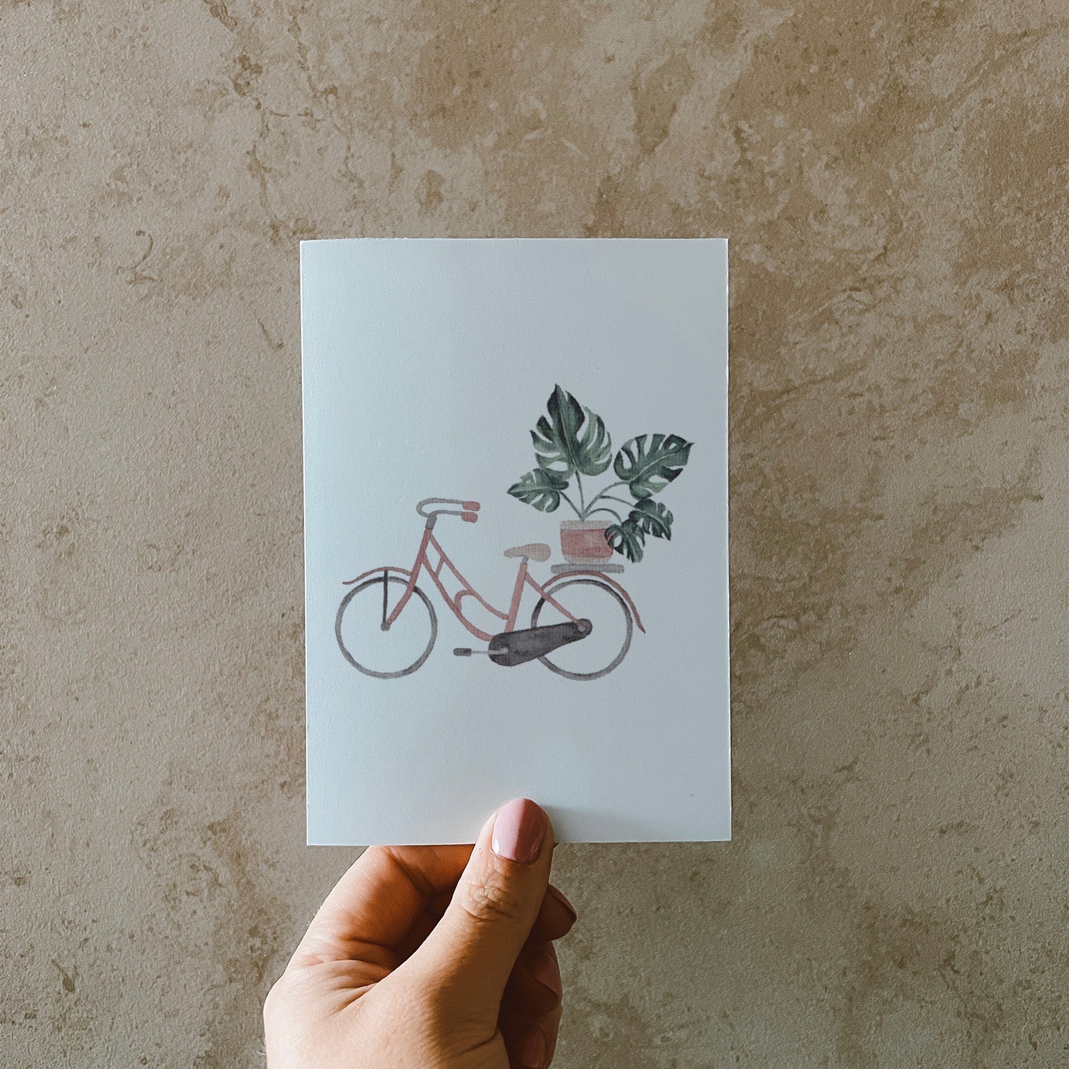 Postkarte DIN A6, Hochformat, gedruckt in Deutschland. Eine Monstera im rosa-beigen Blumentopf, welcher sich auf einem Gepäckträger eines rosa Fahrrads befindet.Postkarte DIN A6, Hochformat, gedruckt in Deutschland. Eine Monstera im rosa-beigen Blumentopf, welcher sich auf einem Gepäckträger eines rosa Fahrrads befindet.