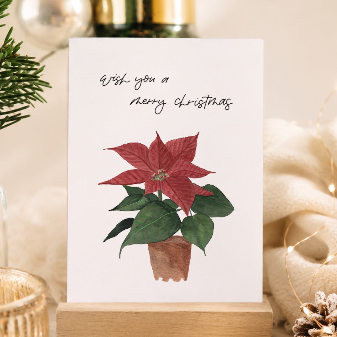 Postkarte »Weihnachtsstern«