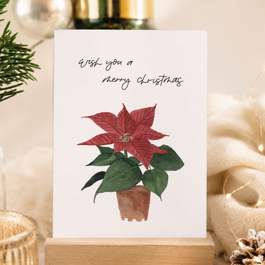Postkarte »Weihnachtsstern«