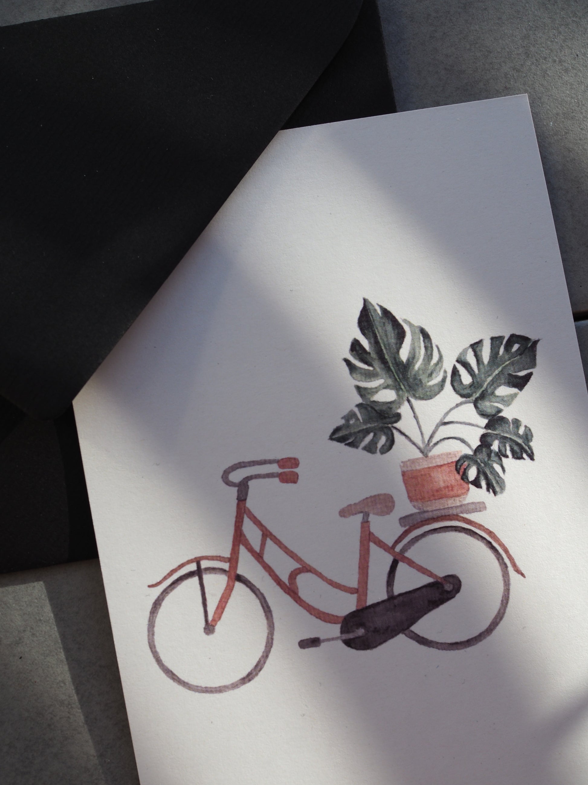 Postkarte DIN A6, Hochformat, gedruckt in Deutschland. Eine Monstera im rosa-beigen Blumentopf, welcher sich auf einem Gepäckträger eines rosa Fahrrads befindet. Nahansicht.